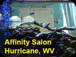 Hurricane WV saltwater tank by Specialty Pets