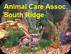 Animal Care Assoc South Ridge Charleston Community Tank