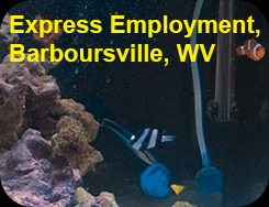 Thumbnail of Express Employment's Barboursville WV reef tank